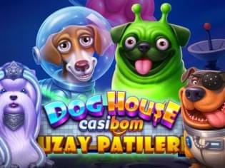 Dog House Casibom - Uzay Patileri thumbnail